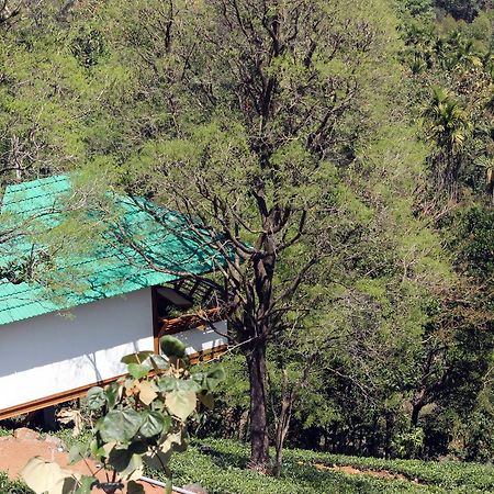 Vythiri Hills Ngoại thất bức ảnh