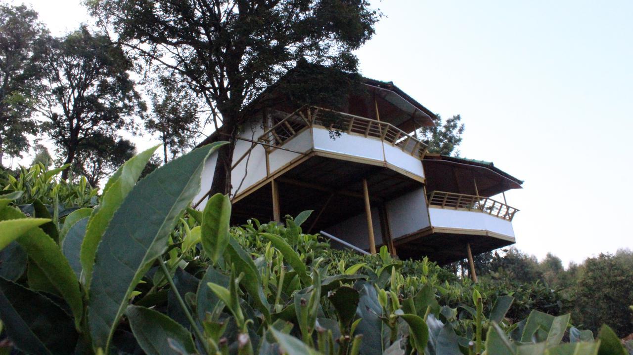 Vythiri Hills Ngoại thất bức ảnh